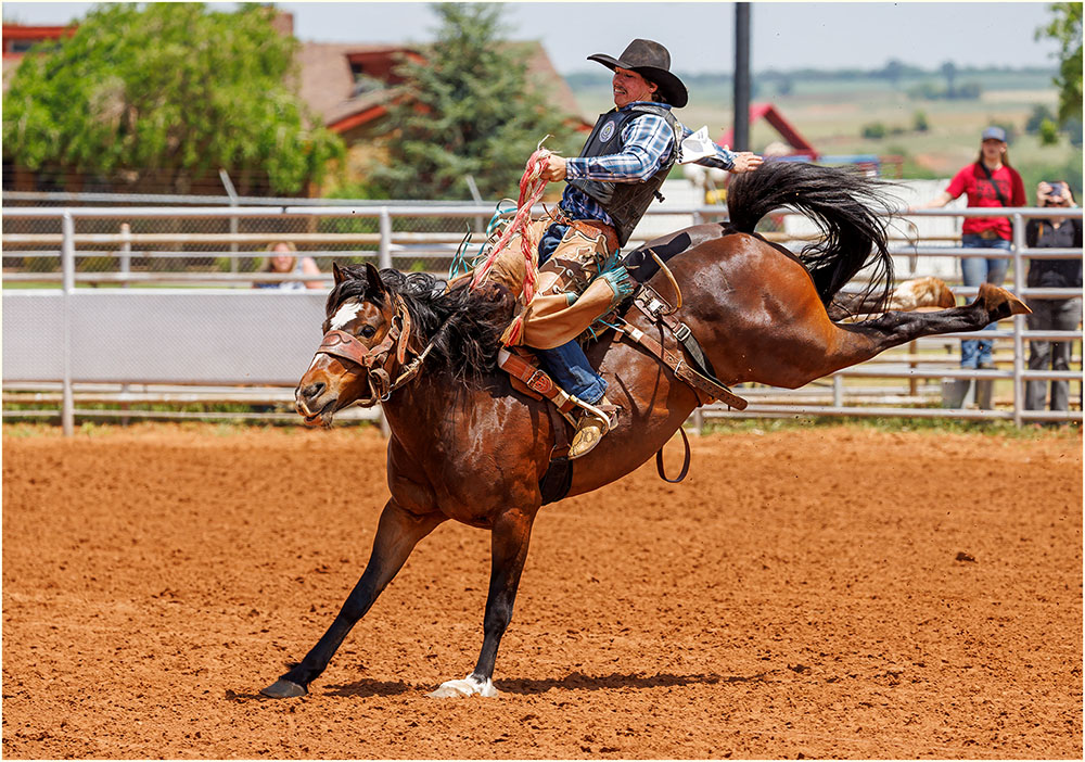 Horse on Two Feet by Ward Conaway