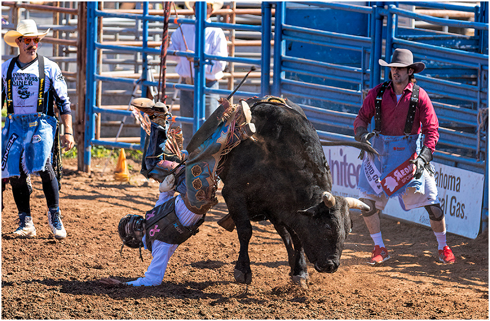 Off the Bull Backwards by Ward Conaway