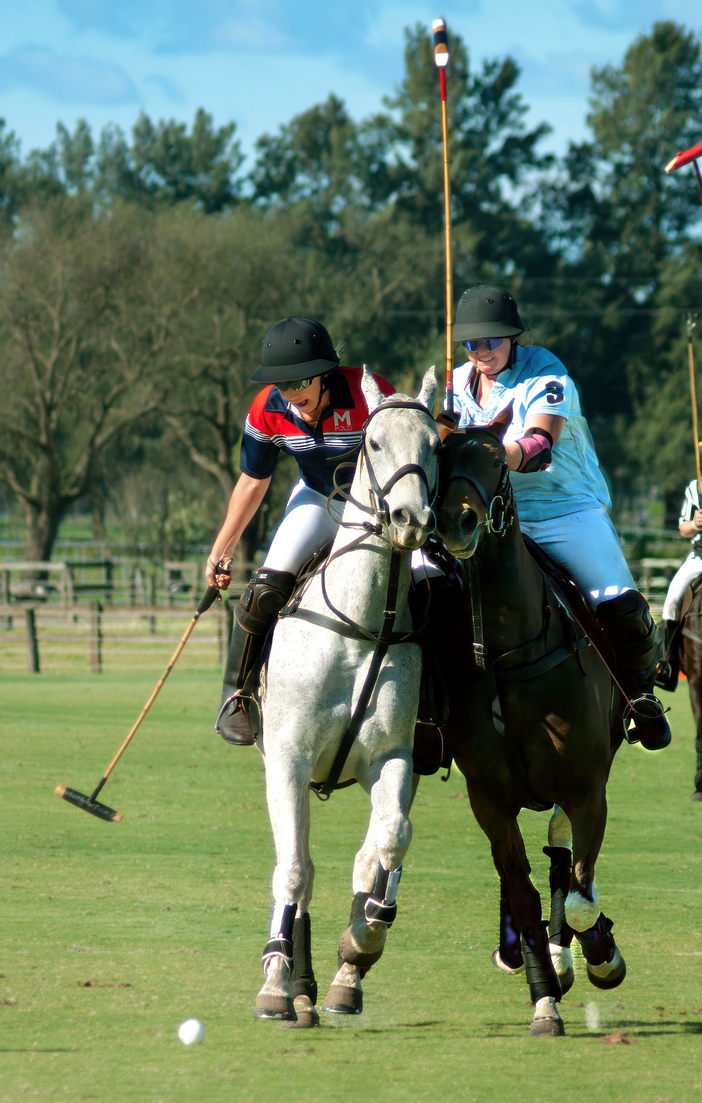 Neck and Neck by Ron Davis