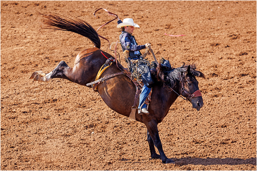 First Rate Saddle Bronc Rider