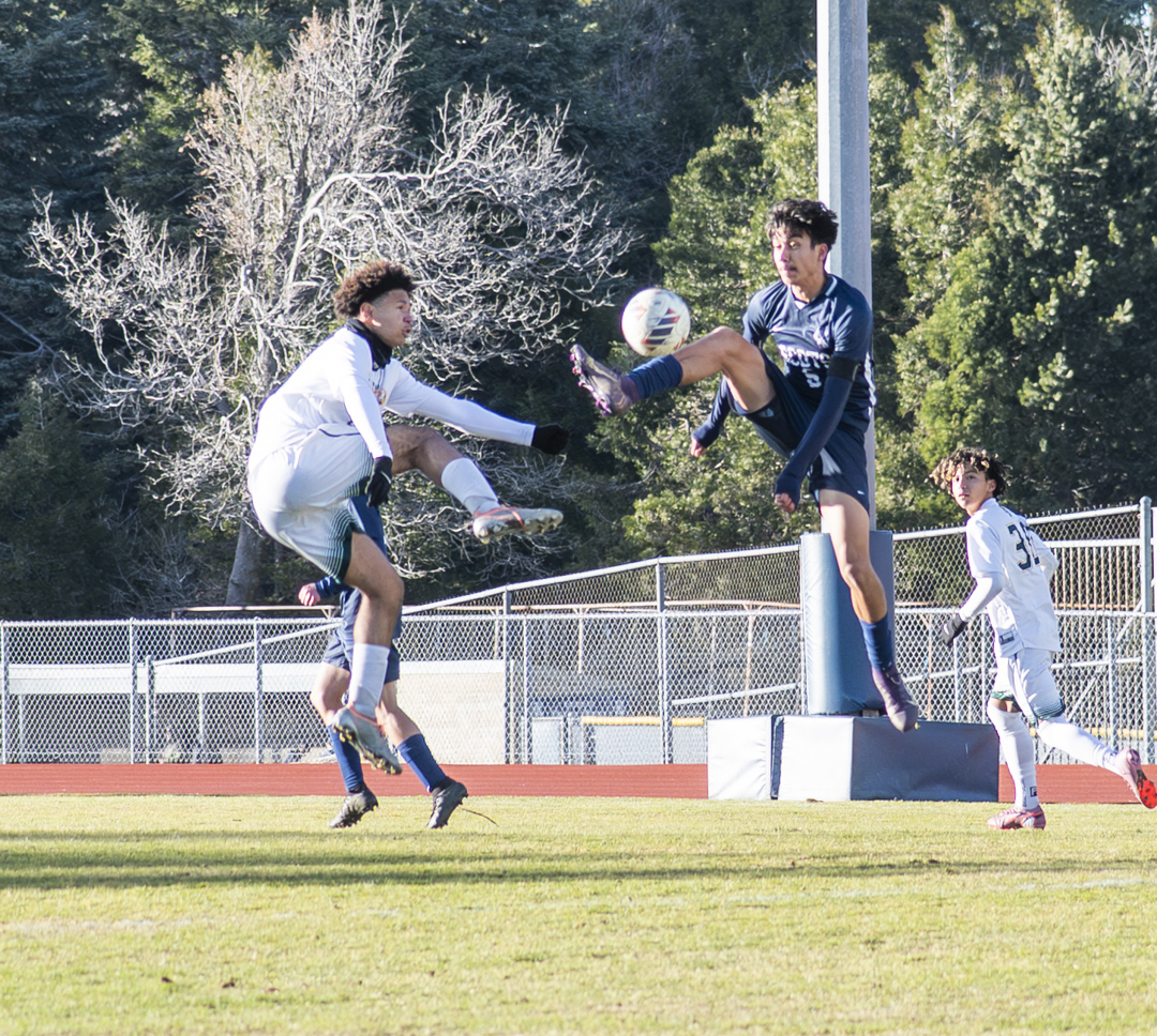 No Foul by Dave Ficke