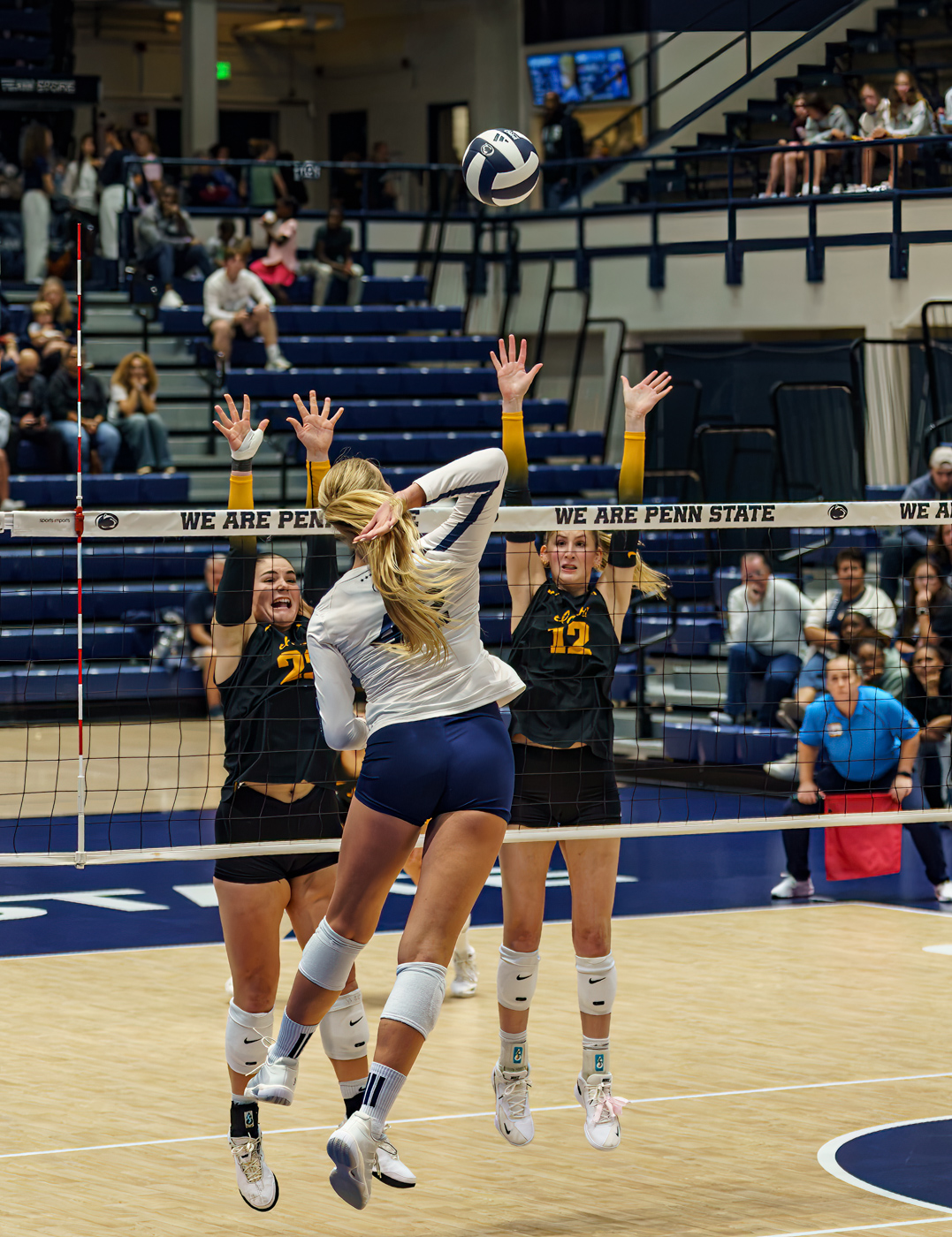 Iowa Attempts a Block by Carolyn Todd-Larson