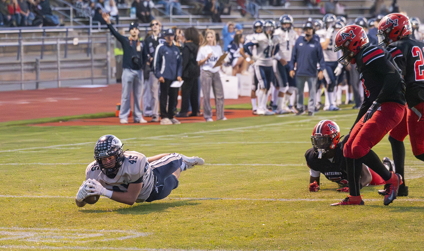 Levitation by Dave Ficke