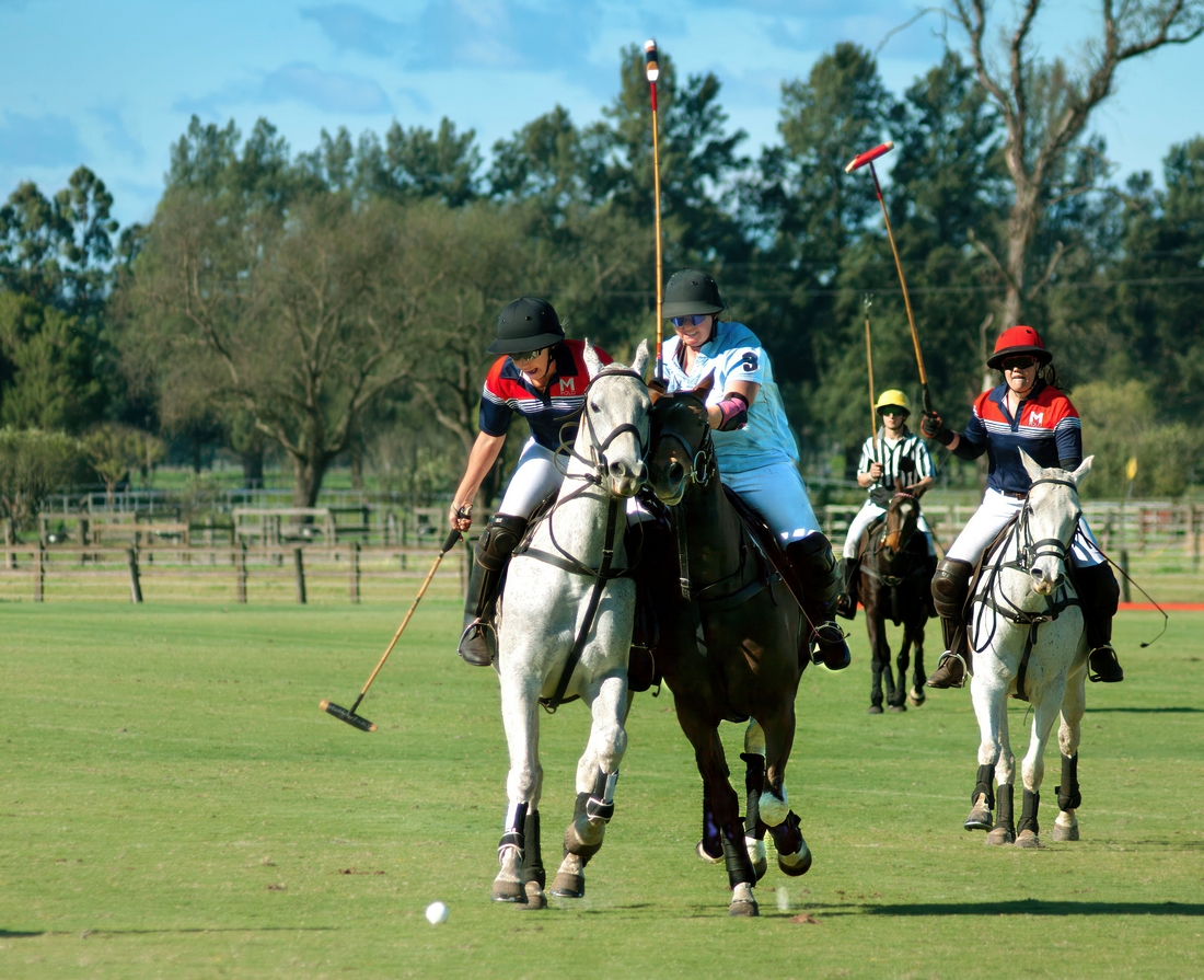 November 2025 - Ron Davis