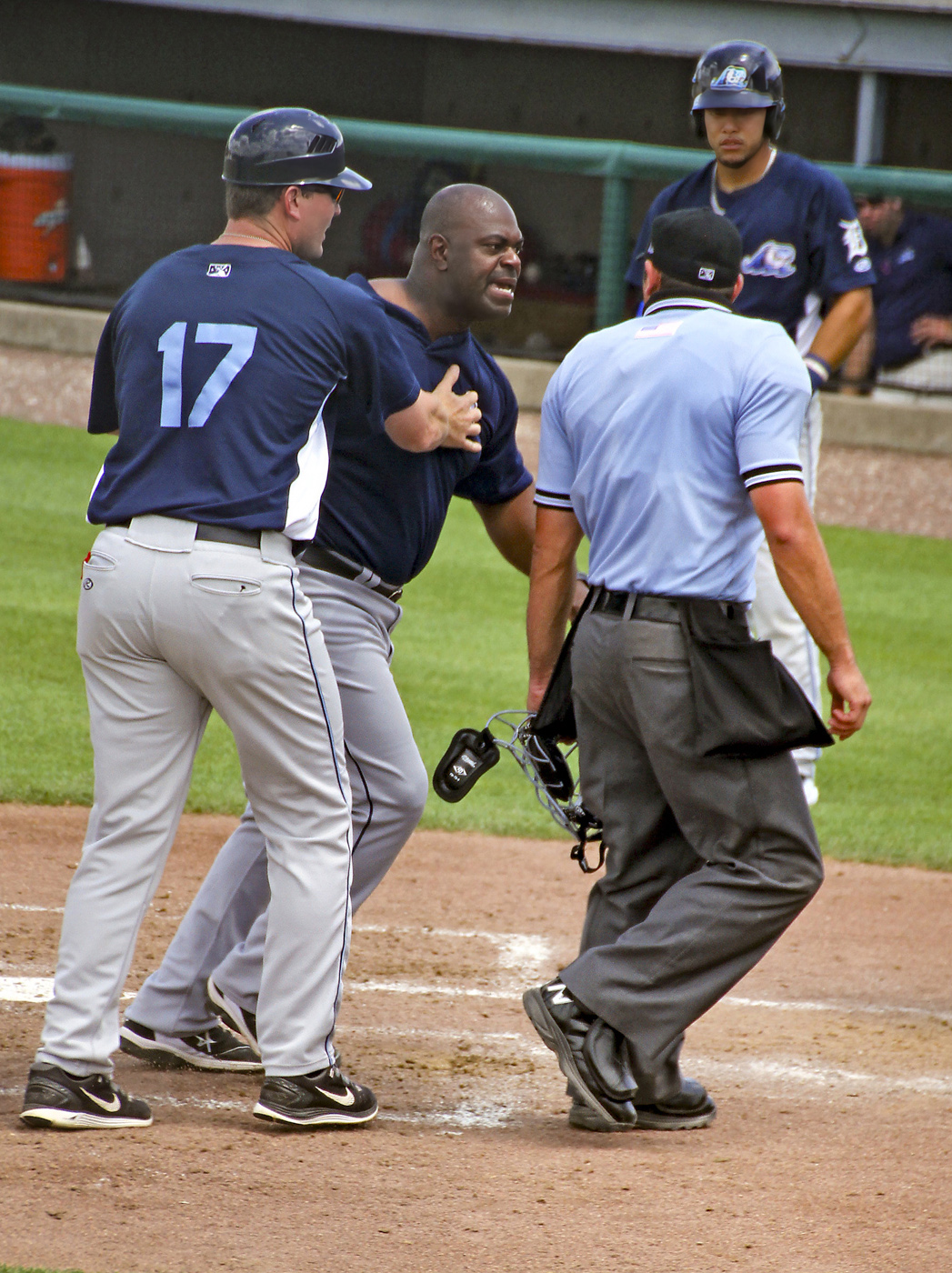 Confronting the Umpire by John Larson