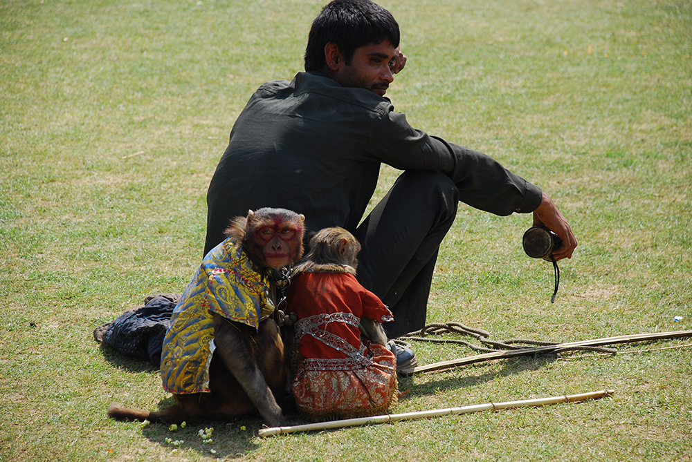 Showman by Subhash Sapru