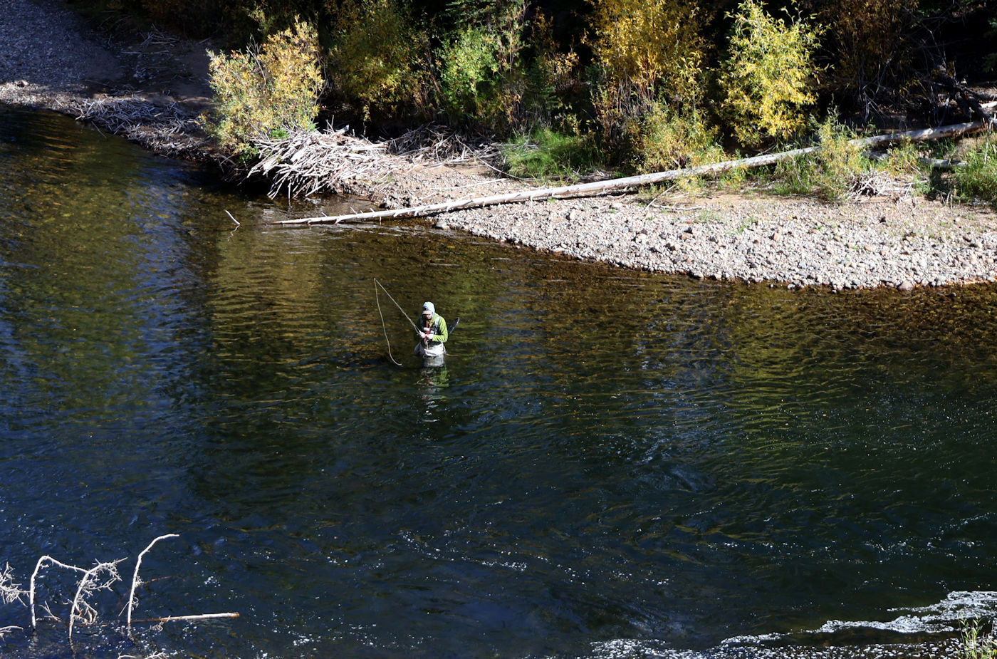 Fishing by Birgit Langmann