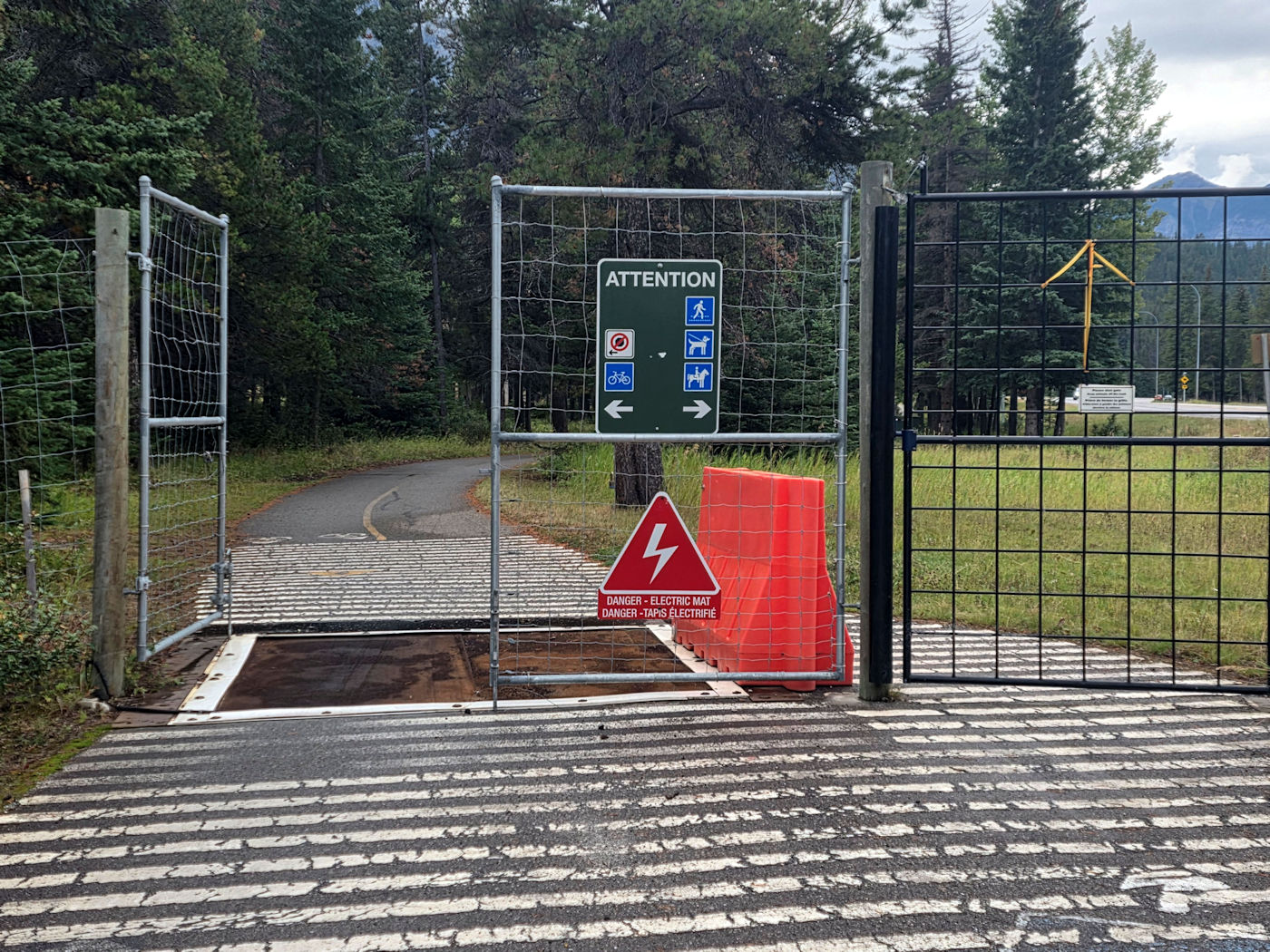 Electric Fence - Bear prevention by Birgit Langmann