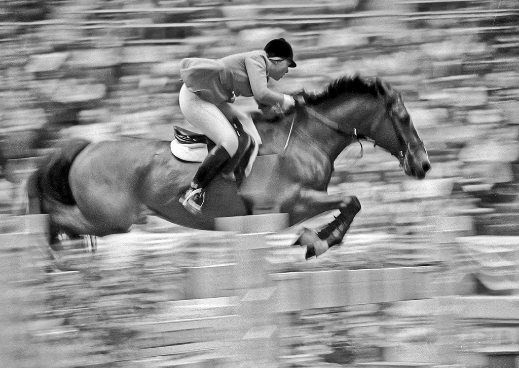 World Class Jumper by Karl Leck