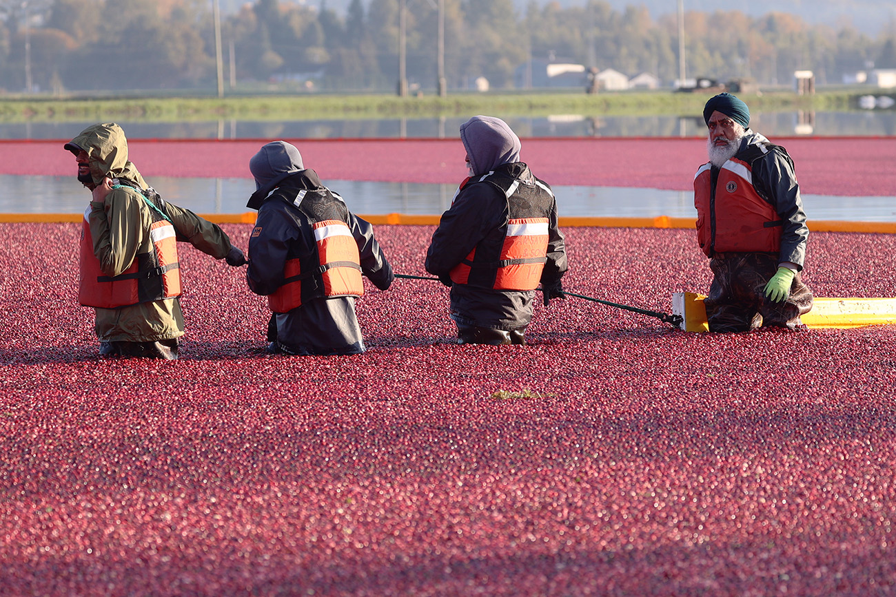 Working in the red by Christine Wong
