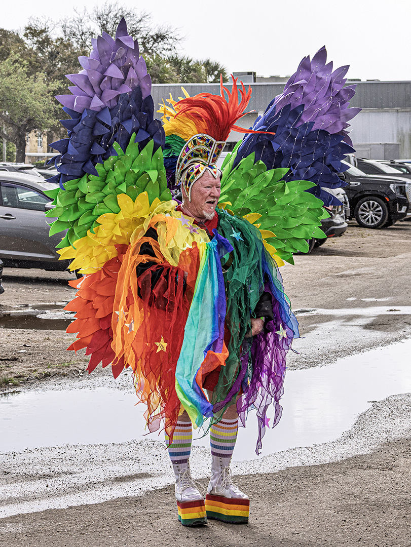 Flamboyant by Tom Brott