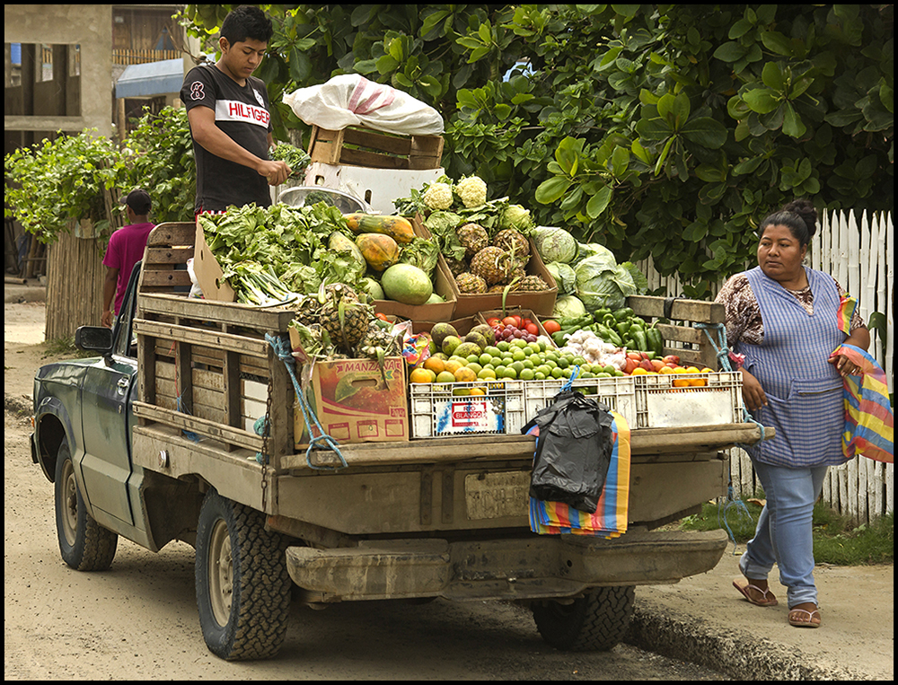 Eyeing the produce by Leslie Larson