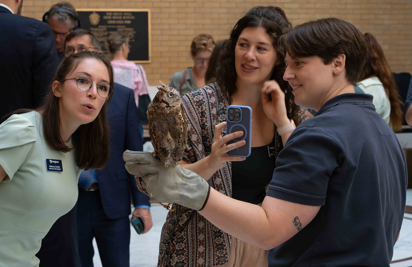 Protecting wildlife by Richard Goldenberg