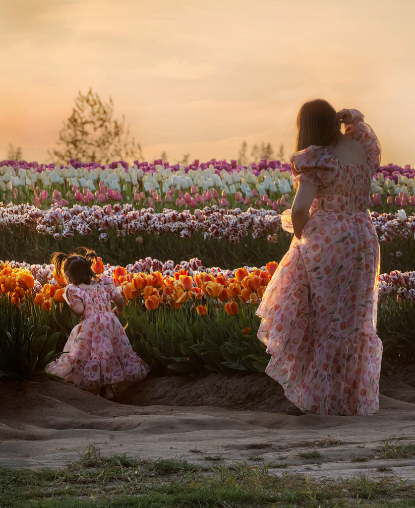 Sunset Tulip Field by Ardeth Carlson