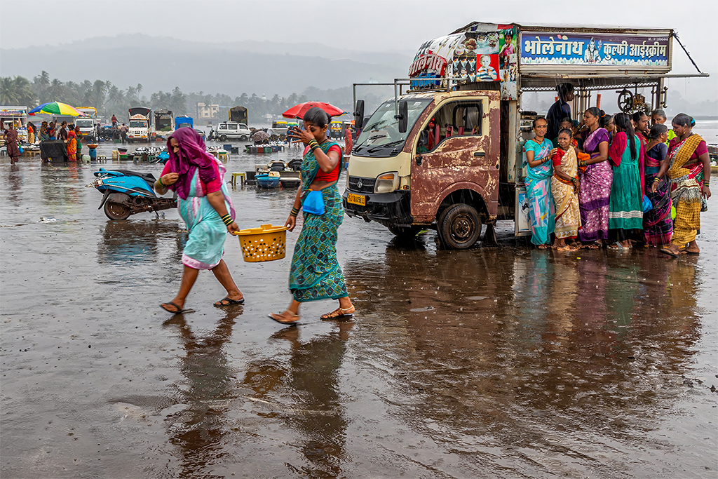Sudden Rain by Vinaya Mathews