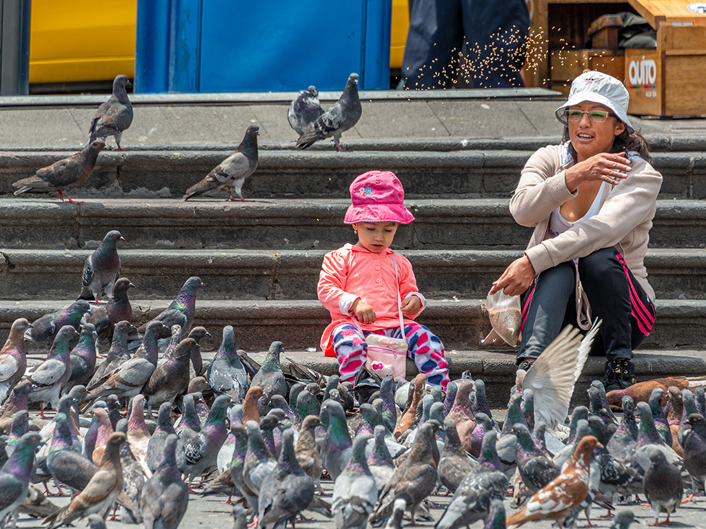 Feeding the Pigeons by Dr Isaac Vaisman