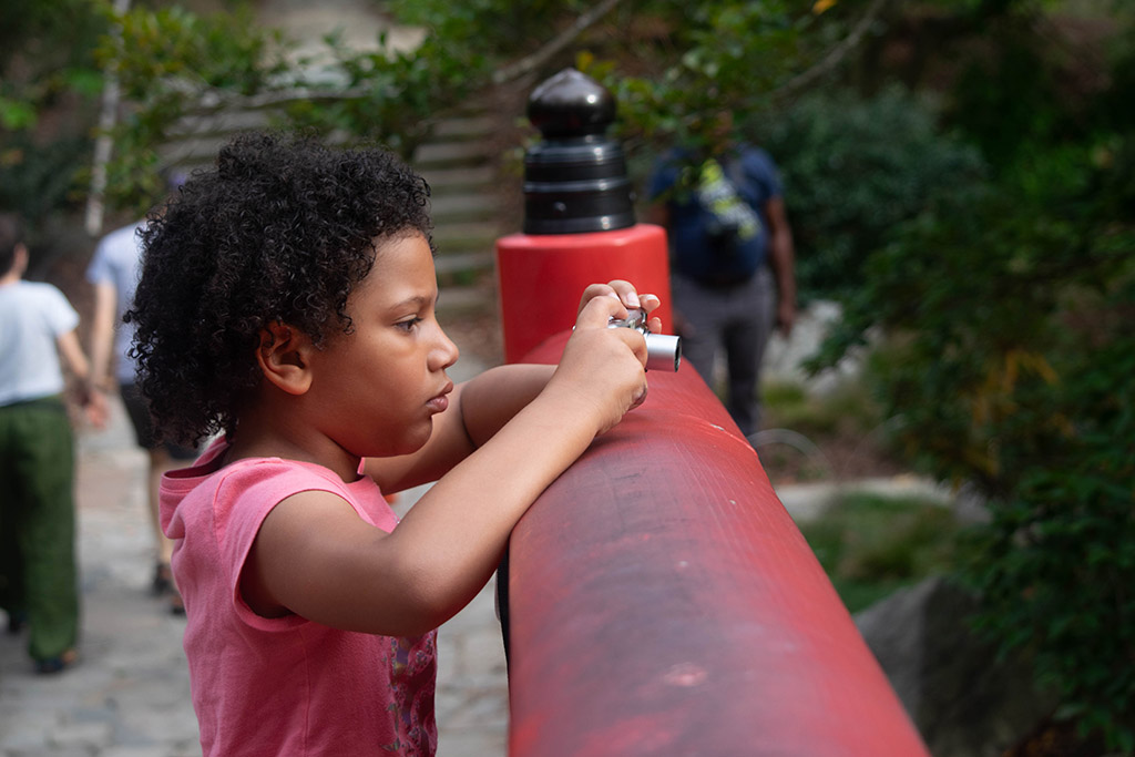 Focused by Jenny Shields (Group 2)