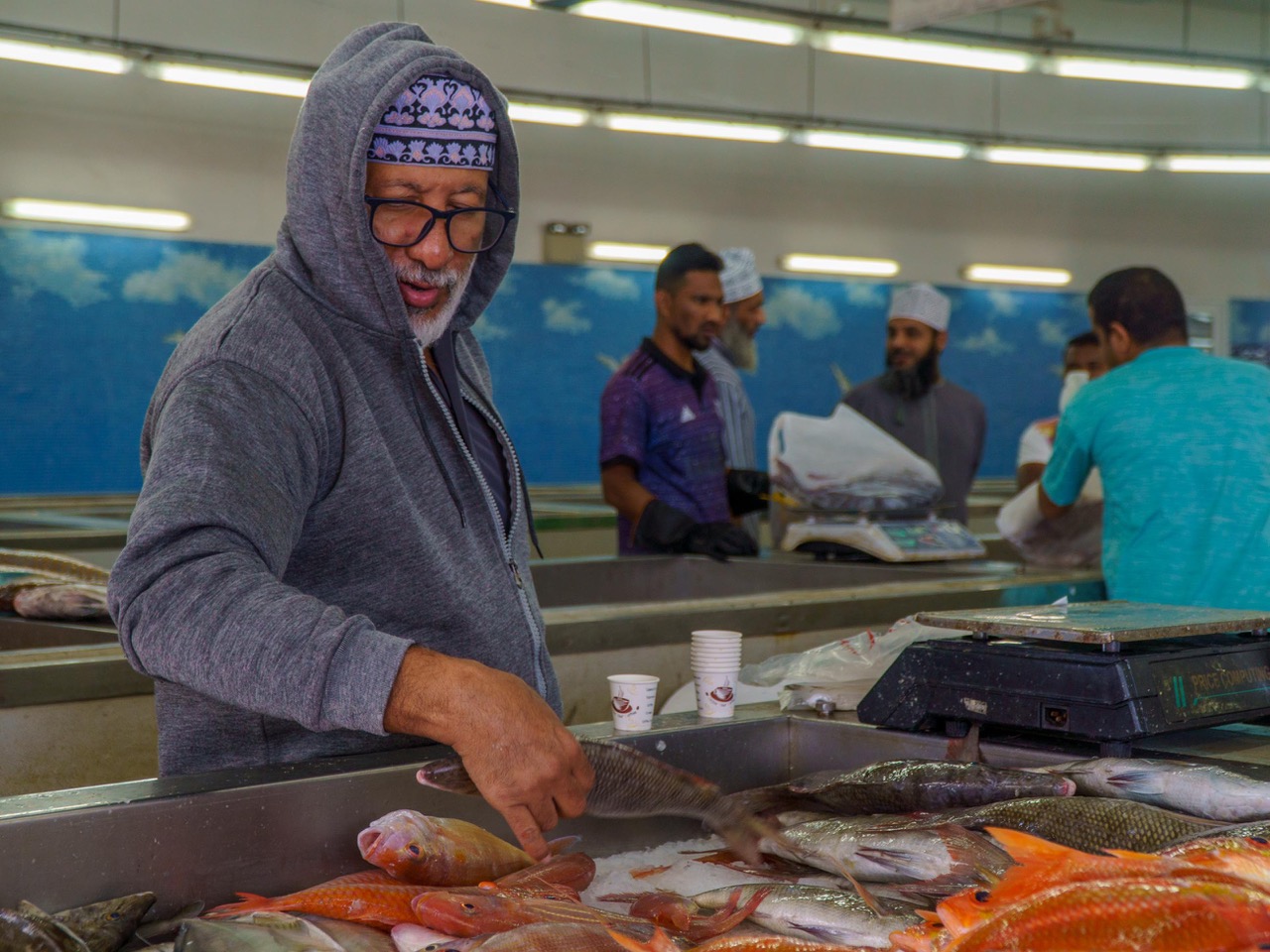 Fish markets in Oman by Nancy Axelrod