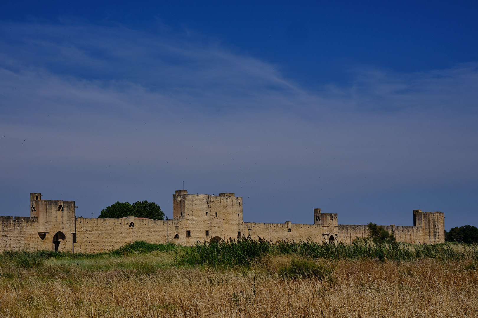 Aigues Mortes by Michele Borgarelli