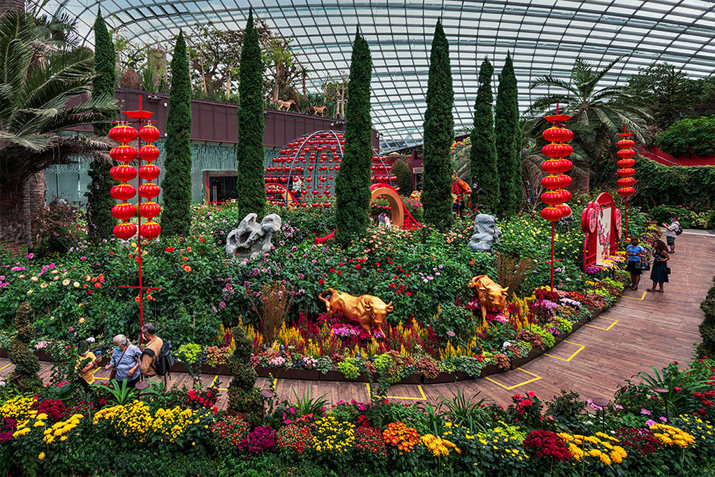 Festive Bloom by Malabika Roy, PPSA, BPSA