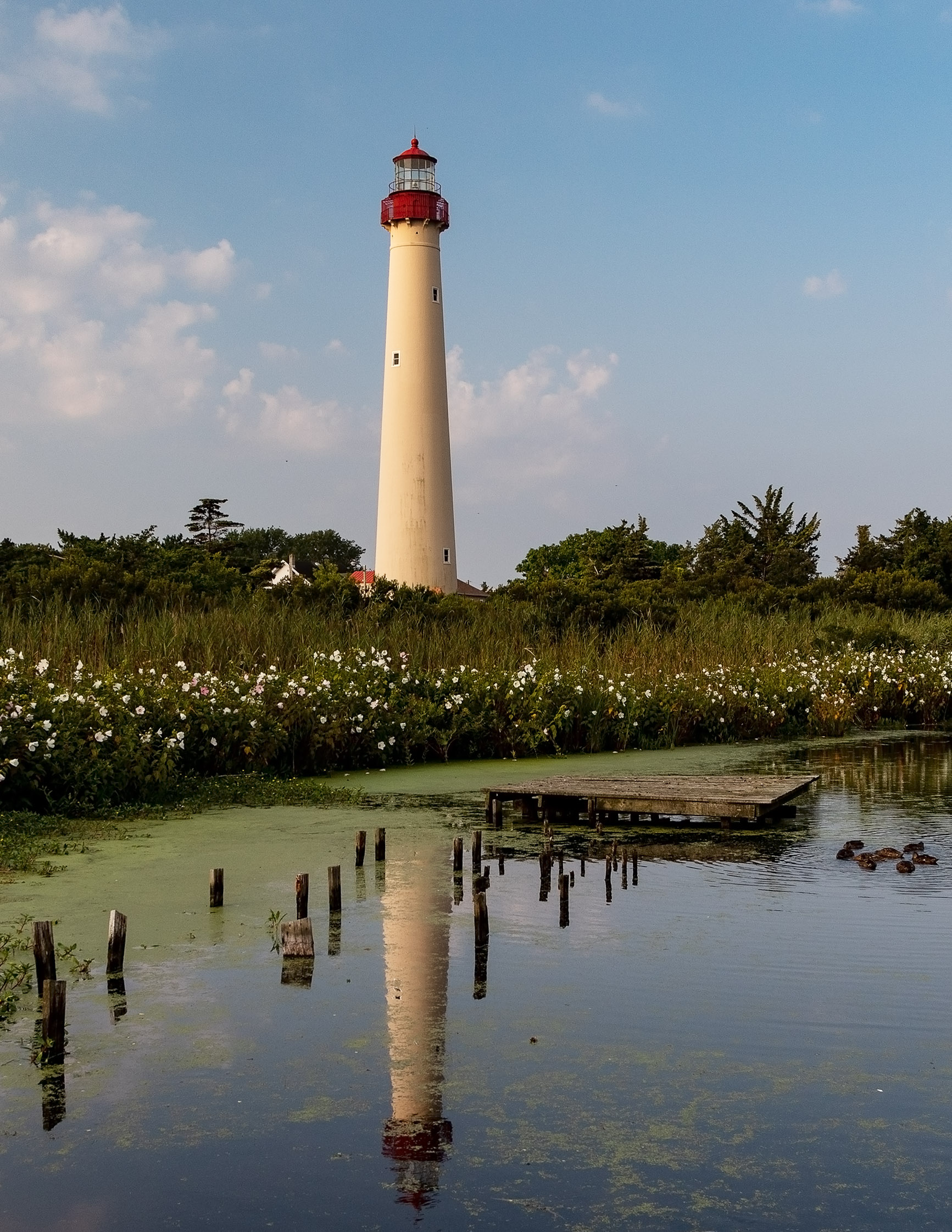 Cape May New Jersey Lighthouse Reflected