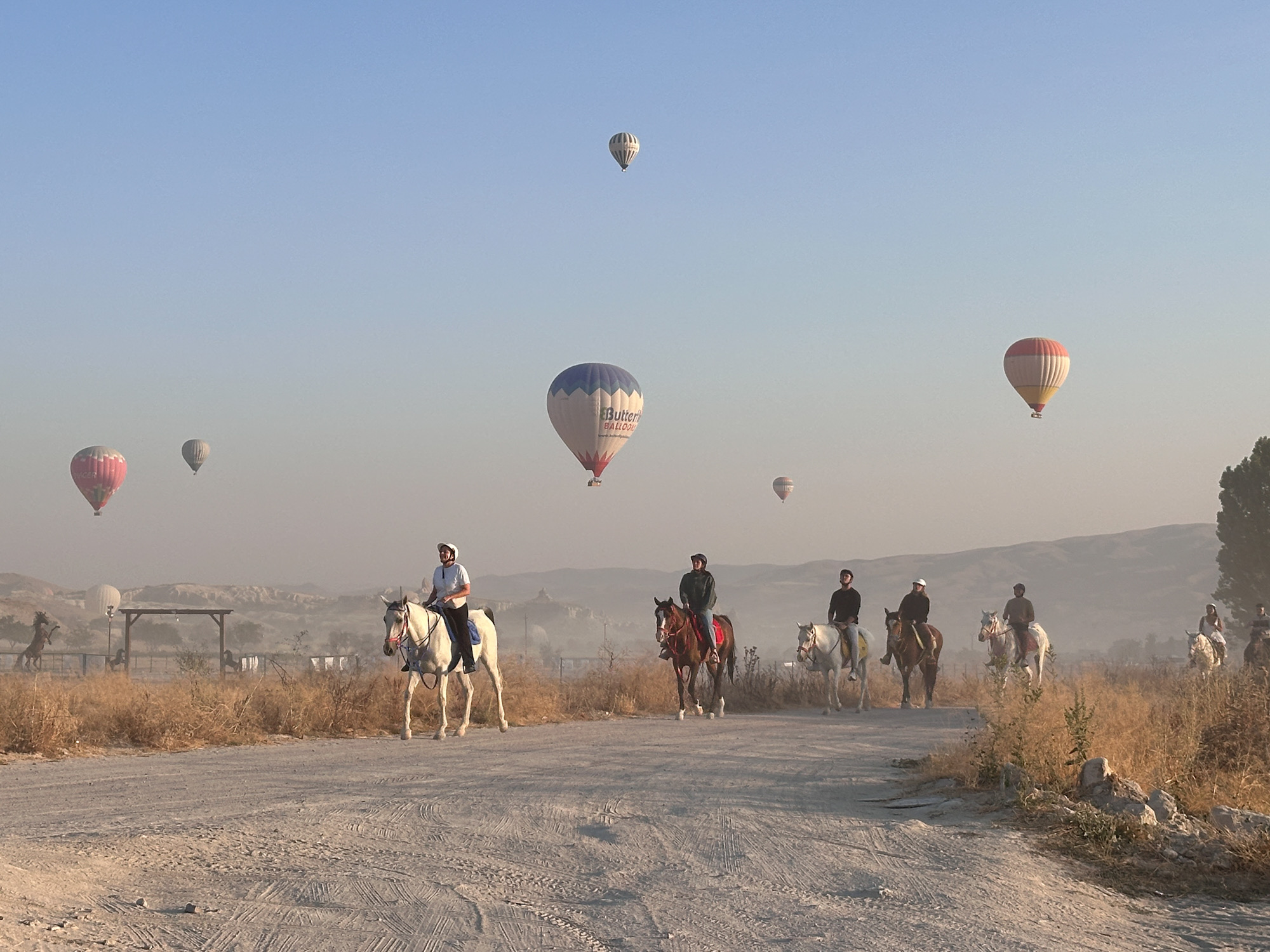 The view from below by Karen Sharpe
