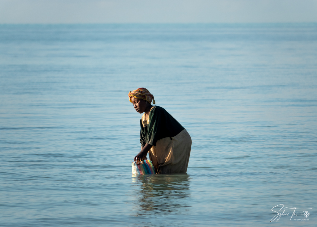 Girl collecting seaweed in Zanzibar by Sylvie Tas