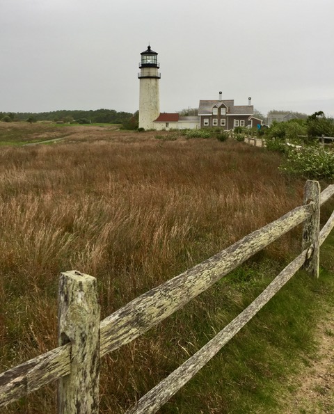 Highland light by Esther Steffens