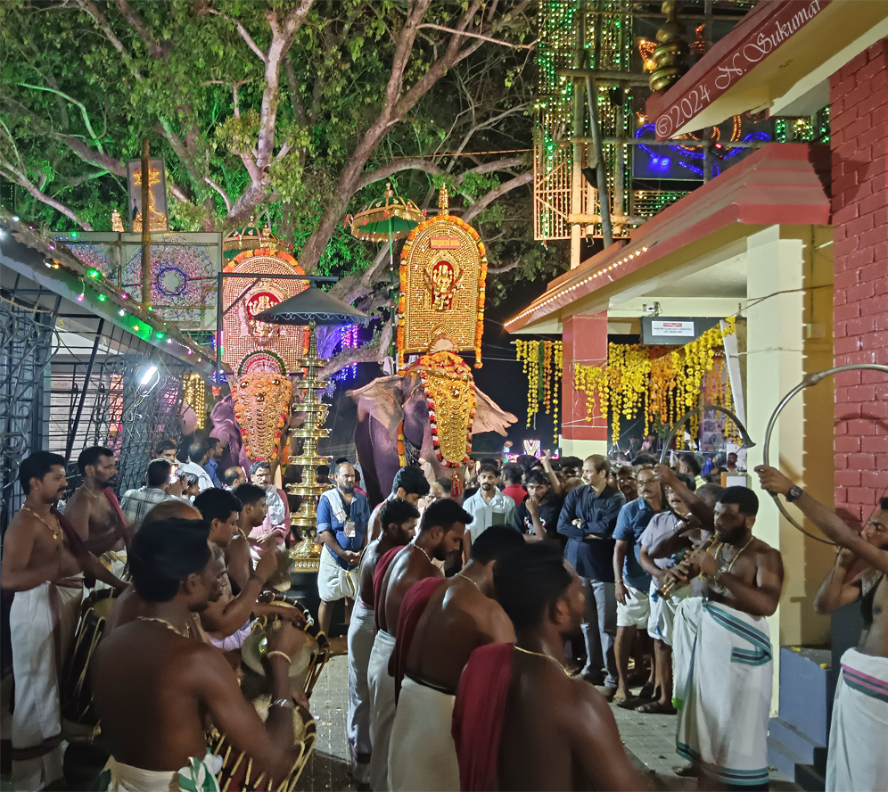 MMusicians and Elephants at Kulapully temple by N. Sukumar