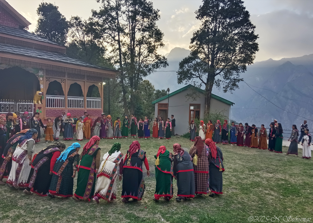 Spring Dance in the Mountains by N. Sukumar