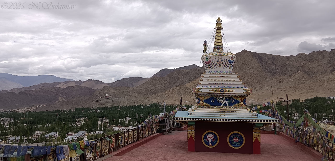 Leh panorama, Ladakh by N. Sukumar