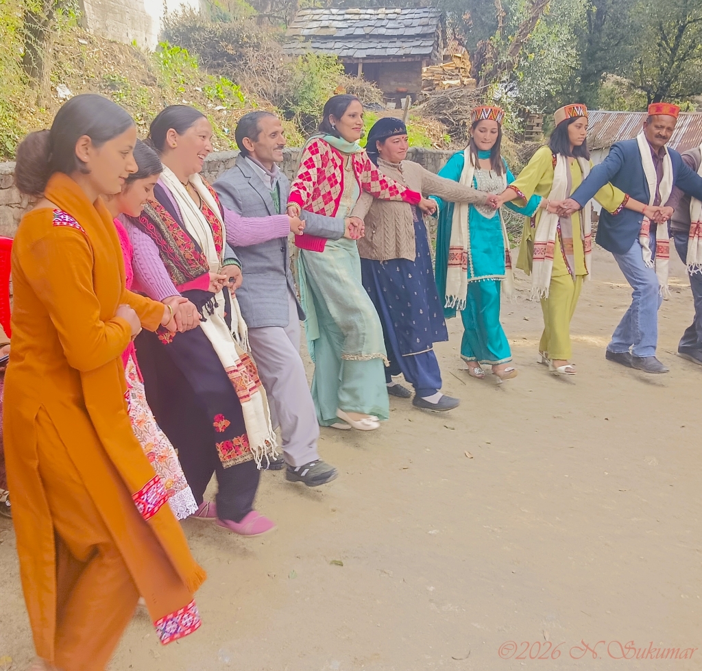 Community dance, Himachal
