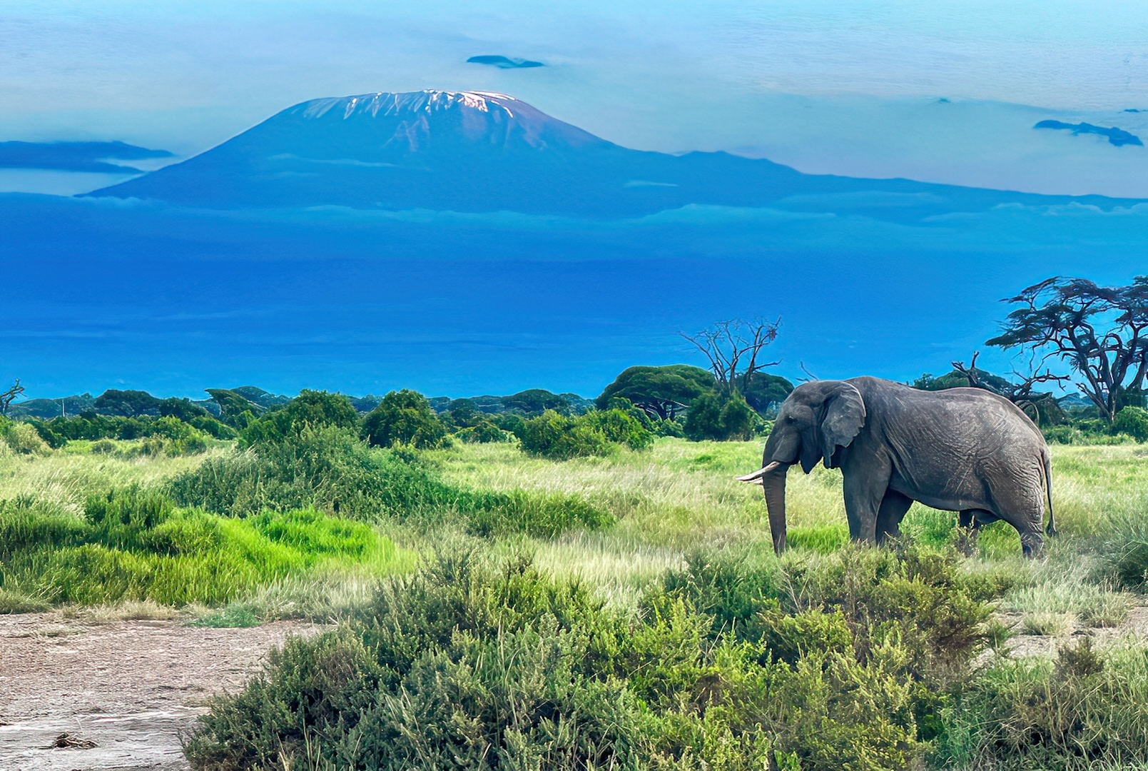 Mt. Kilamanjaro by Michael Smith