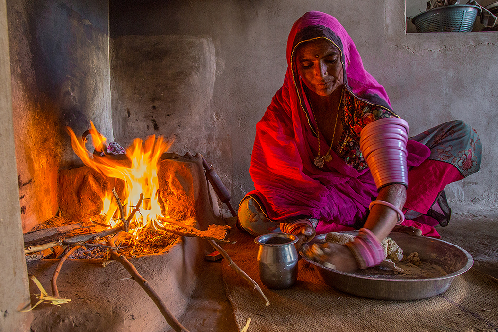  : Rajasthani lady by Vinaya Mathews