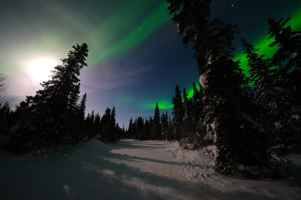 Northern Lights by Alan Lichtenstein