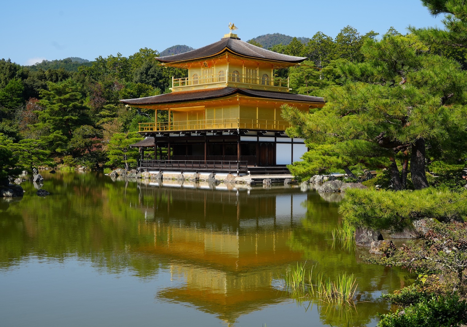 GOLDEN TEMPLE-JAPAN