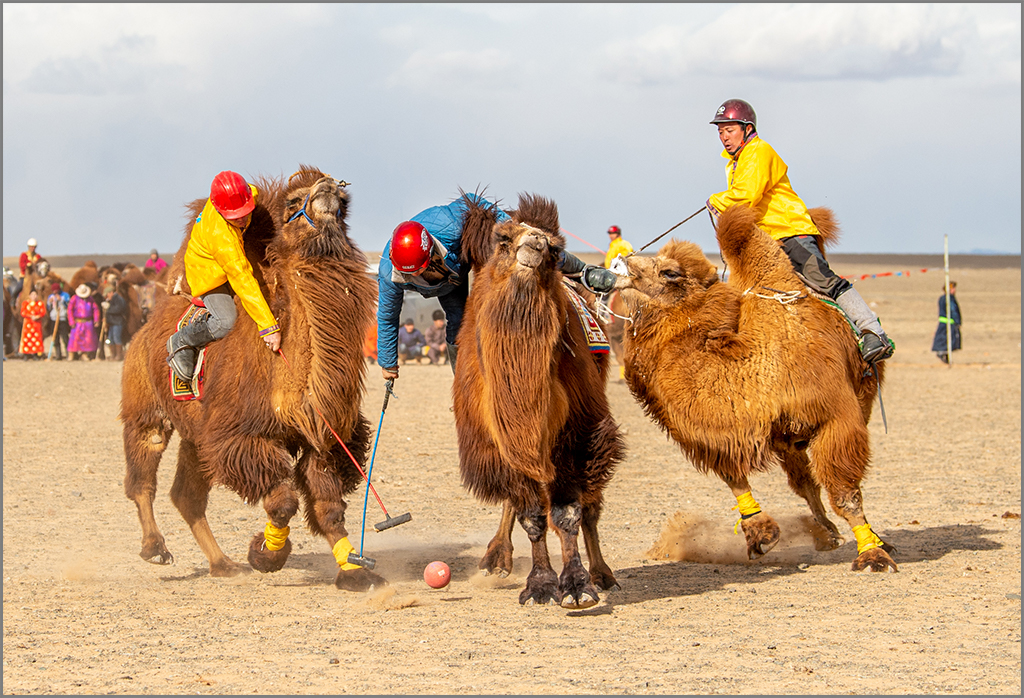 Camel Polo by Dr. Isaac Vaisman, APSA, PPSA