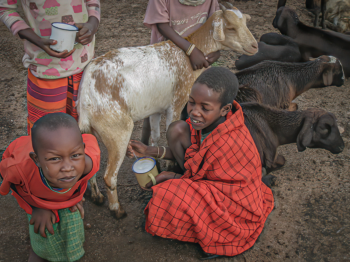 Maasai Boys  by Susan Albert