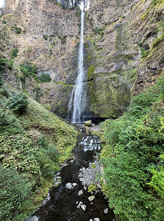 November 2025 - Dr. Isaac Vaisman, APSA, PPSA