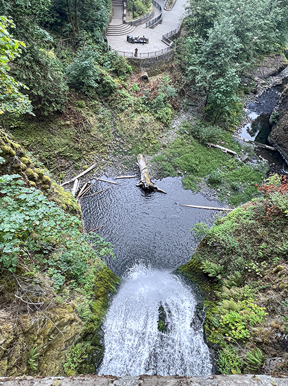 November 2025 - Dr. Isaac Vaisman, APSA, PPSA