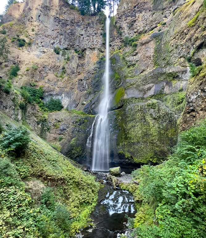 November 2025 - Dr. Isaac Vaisman, APSA, PPSA