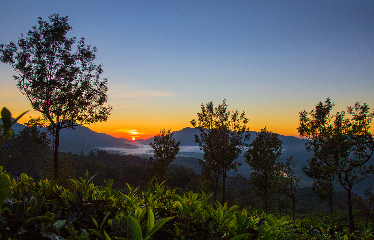 : Sunrise at Munnar