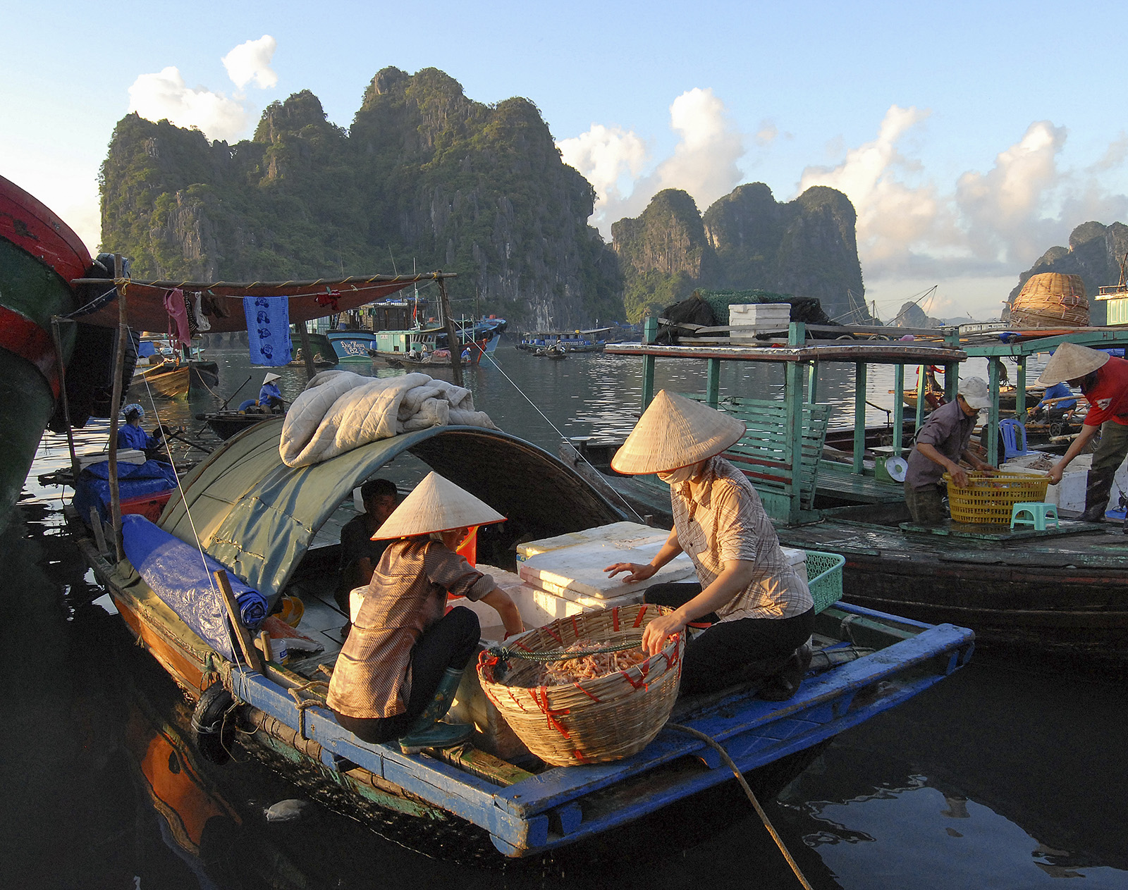 Halong Bay Shrimpers