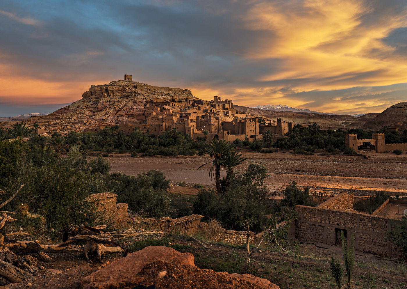 Desert Oasis by Tom Tauber