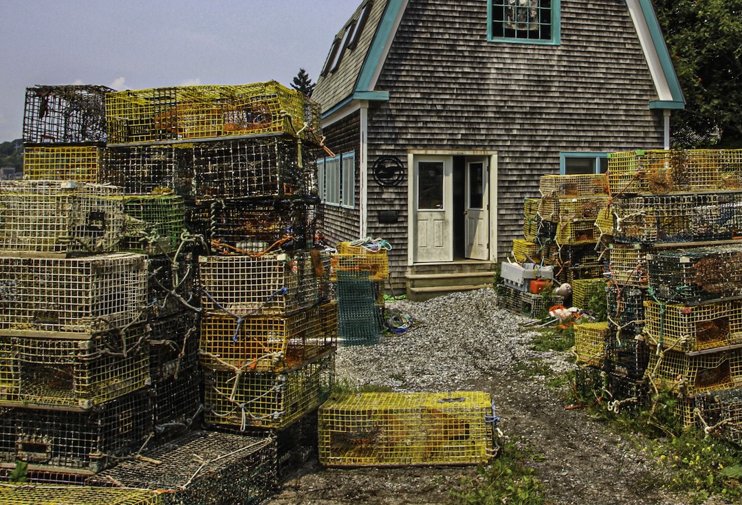 Fisherman's house in Maine by Laurie Bergner