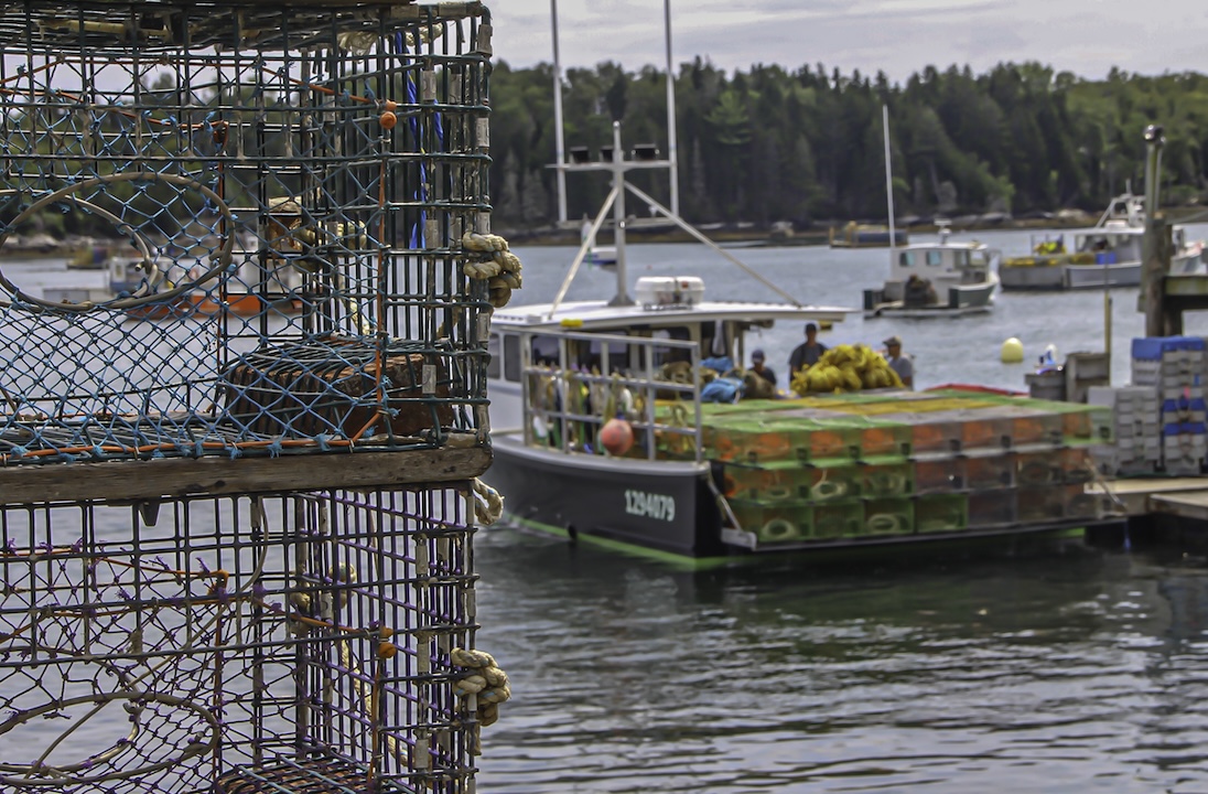 Lobster Fishing in Maine by Laurie Bergner
