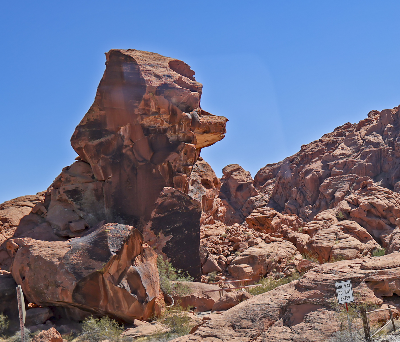 Valley of Fire Guard Dog by John Larson