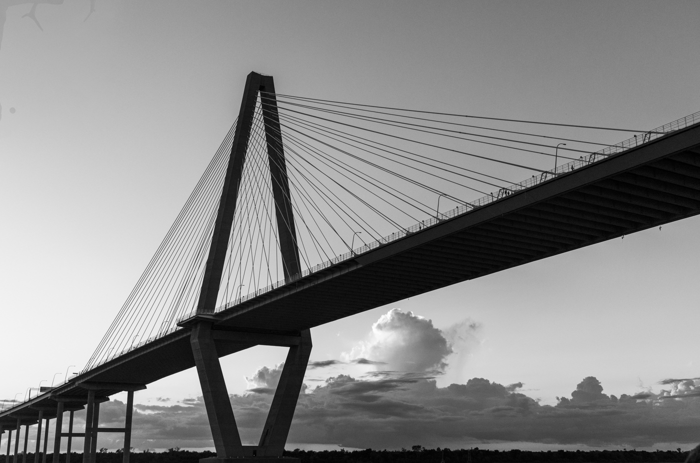 Arthur Ravenel, Jr. Bridge by John Larson