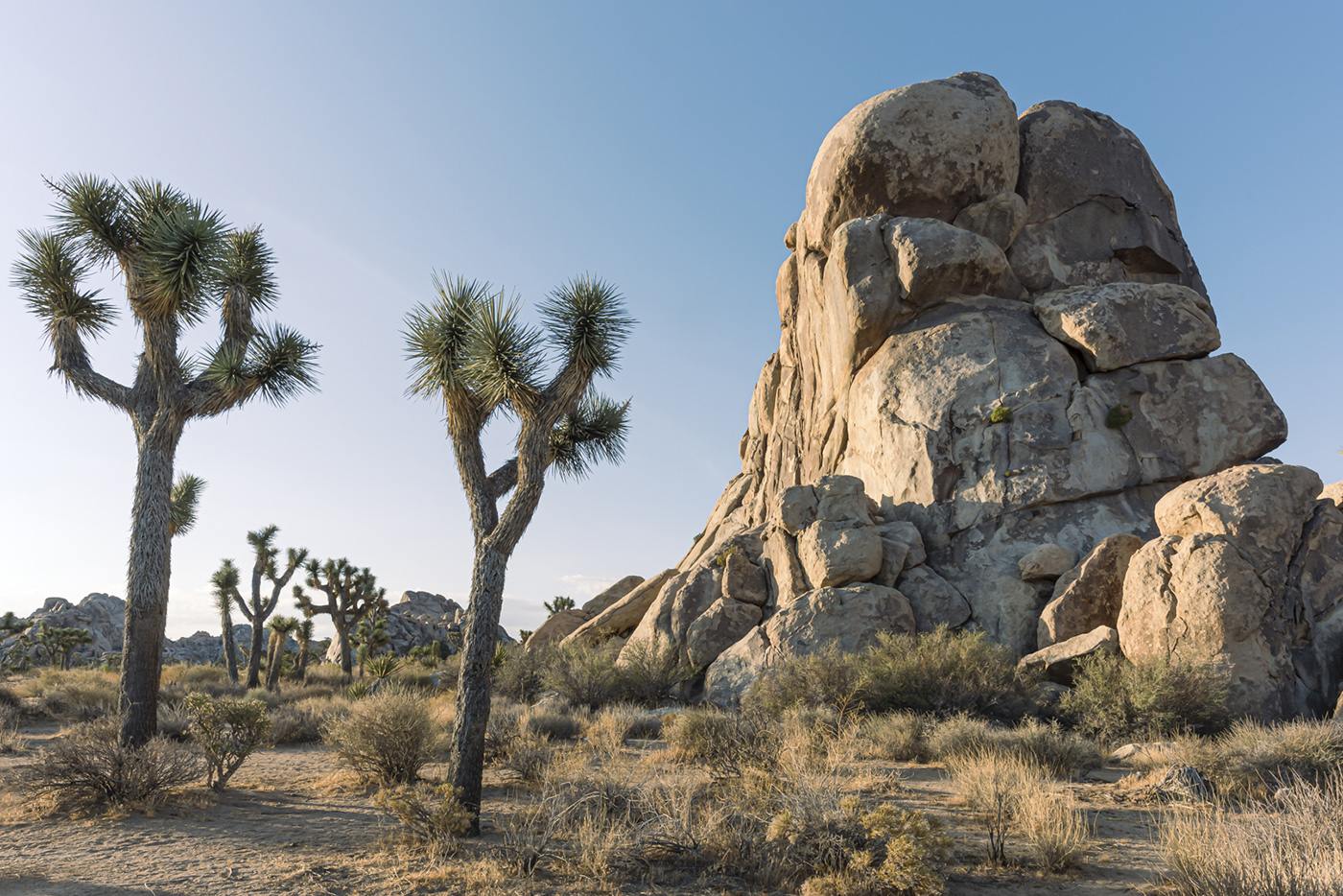 Boulders at Joshua Tree National Park