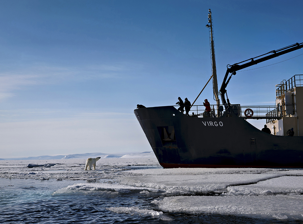 Close Encounter by David Somali-Chow, GMPSA, GPSA